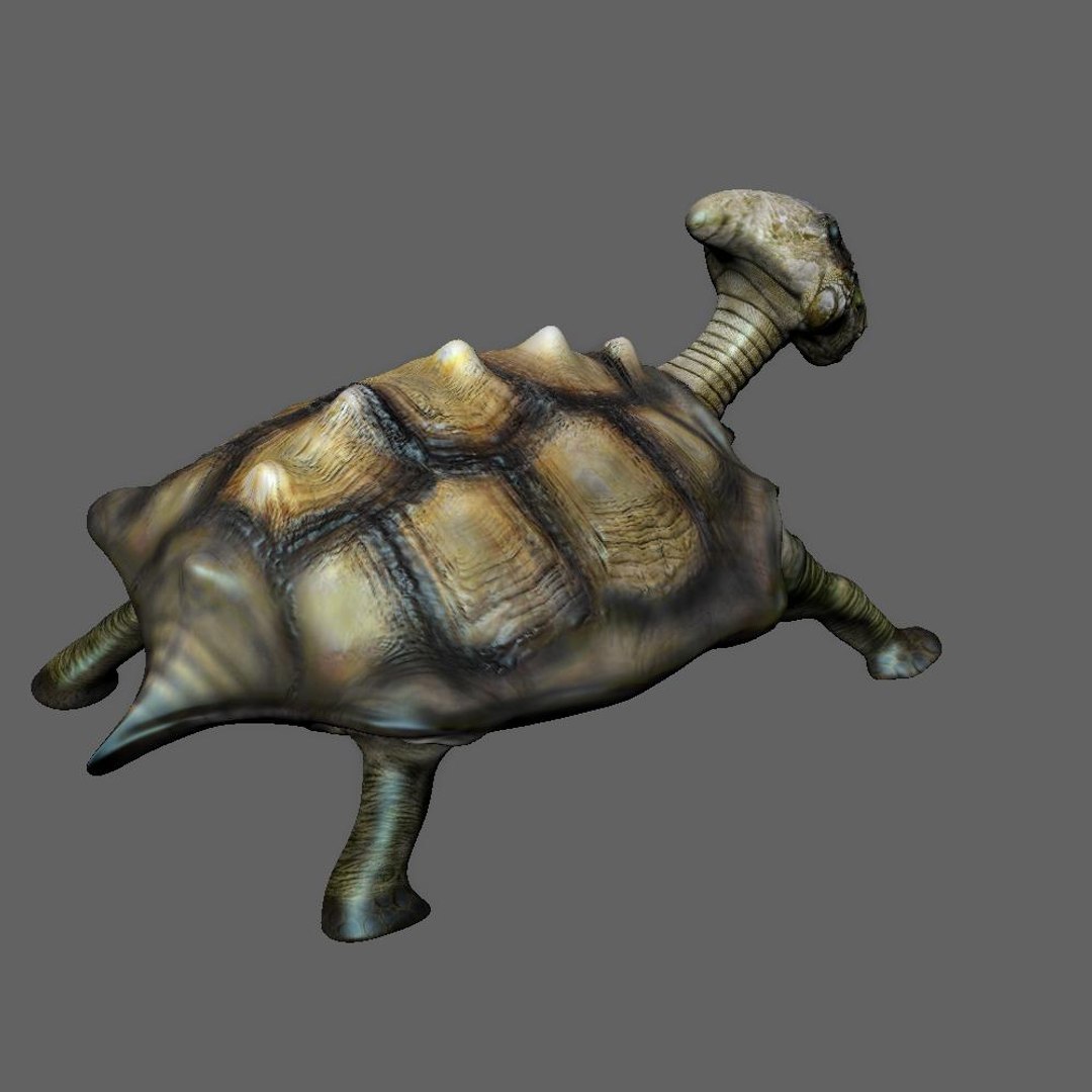 3d 3ds Turtle