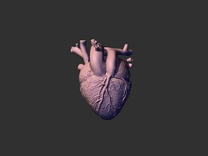 printready heart 3D model