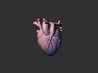 printready heart
