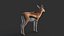 Gazelle 2 FUR Rigged
