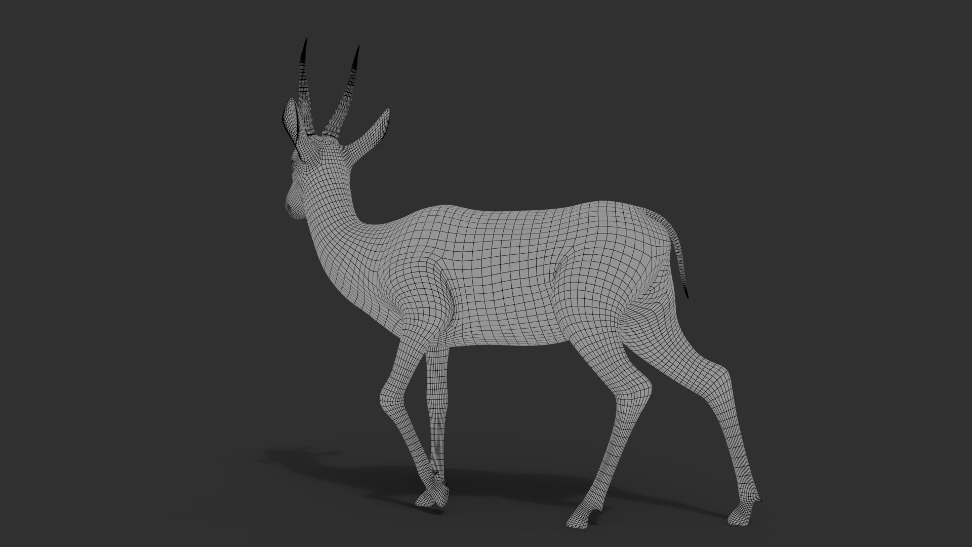 Gazelle 2 FUR Rigged model https://p.turbosquid.com/ts-thumb/lH/qdIA6c/VH/wire02/jpg/1766164466/1920x1080/fit_q87/f1fff1d9feb633b8f049f52d797e2a5d1a0af4b6/wire02.jpg