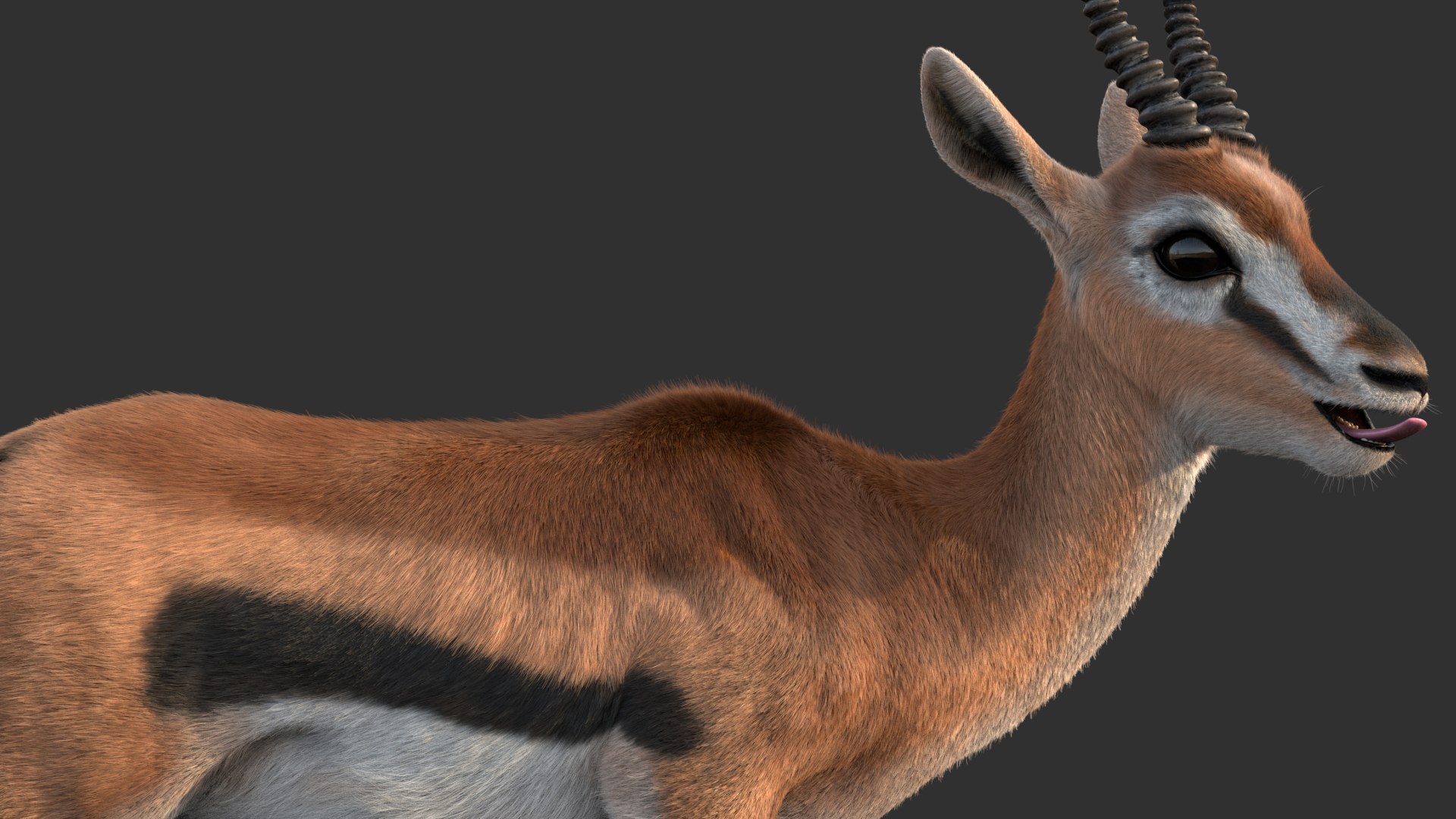 Gazelle 2 FUR Rigged model https://p.turbosquid.com/ts-thumb/lH/qdIA6c/W5/gazelle03/jpg/1766164407/1920x1080/fit_q87/924f44efc6d6f9dff6df00dcd62ecf8be46ad2d6/gazelle03.jpg