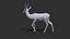 Gazelle 2 FUR Rigged