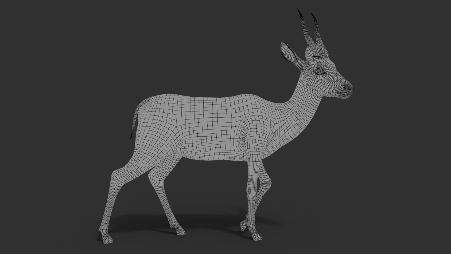 Gazelle 2 FUR Rigged model https://p.turbosquid.com/ts-thumb/lH/qdIA6c/kF/wire01/jpg/1766164465/1920x1080/fit_q87/e35d3682c507b0aeb92fe42edff736b24e96ae5d/wire01.jpg