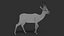 Gazelle 2 FUR Rigged