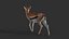 Gazelle 2 FUR Rigged