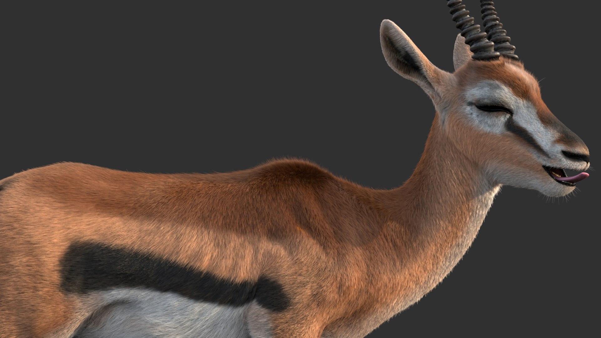 Gazelle 2 FUR Rigged model https://p.turbosquid.com/ts-thumb/lH/qdIA6c/tV/gazelle03a/jpg/1766164408/1920x1080/fit_q87/c4b0abf37829e382cdf316d550cb0c87125c2fc7/gazelle03a.jpg