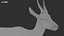 Gazelle 2 FUR Rigged
