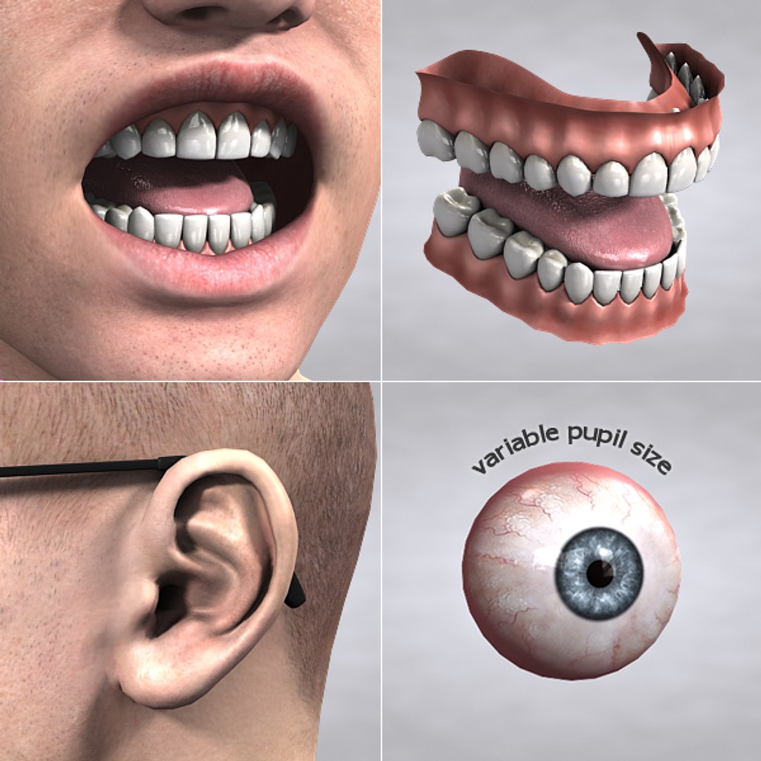 rigged dave realistic male 3d model https://p.turbosquid.com/ts-thumb/lH/vrTBGF/PPfWZM1Y/dv16/jpg/1296052041/1920x1080/fit_q87/013b49bc5d709fb9e06bf78472e4abfb460f9a77/dv16.jpg