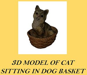 Realistic Cat in basket