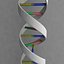 DNA.3ds