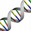 DNA.3ds