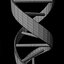 DNA.3ds