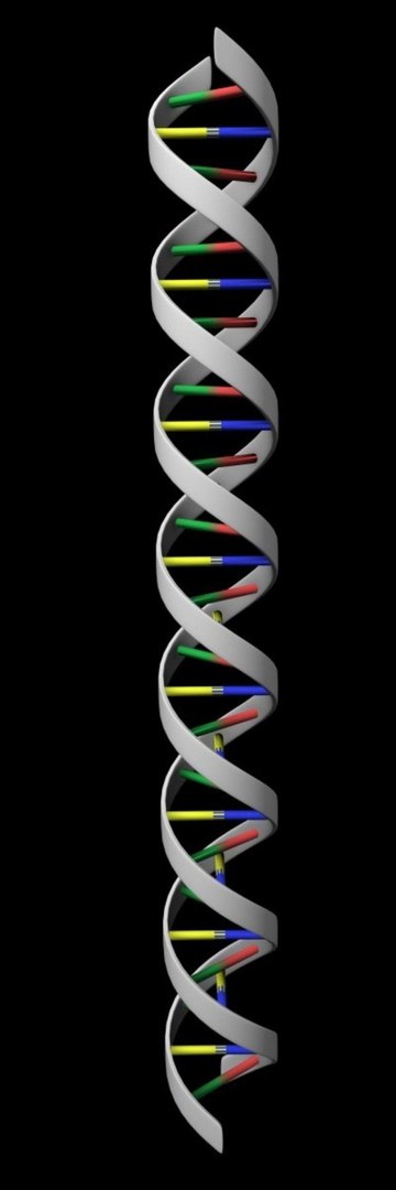 3d model dna cell https://p.turbosquid.com/ts-thumb/lI/84SXEd/evcdhJUR/dna_render/jpg/1292675030/1920x1080/fit_q87/561ba16f6f958870ef0577a99f95c654e42f1860/dna_render.jpg