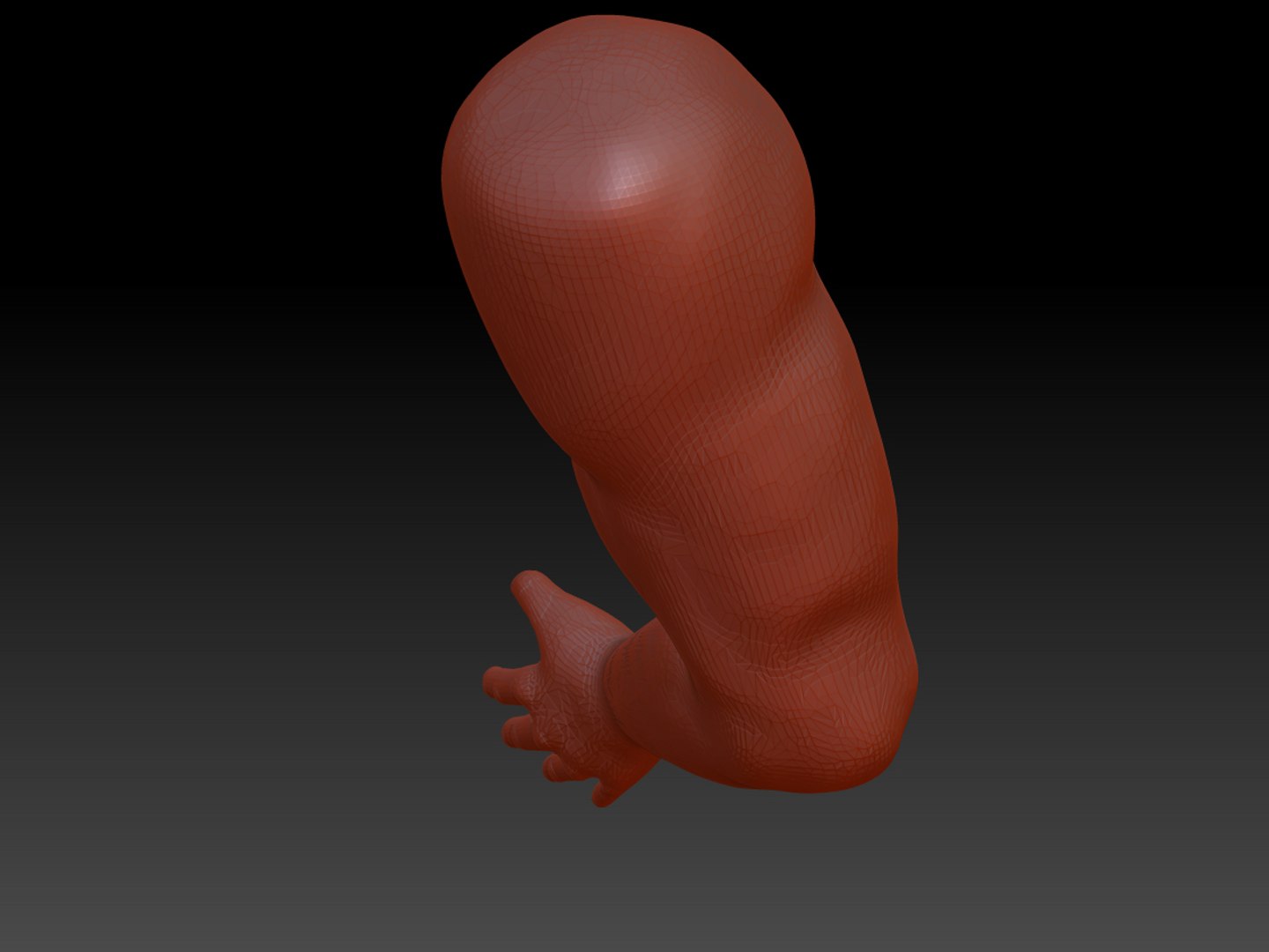 Human Arm Obj