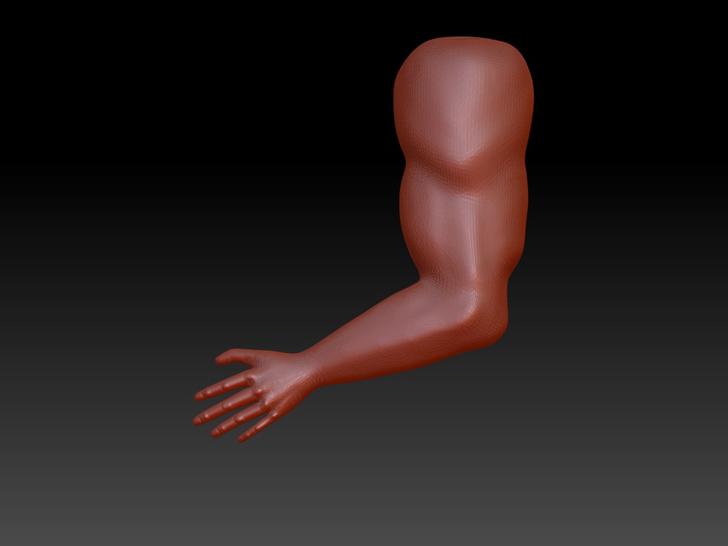 Human Arm Obj