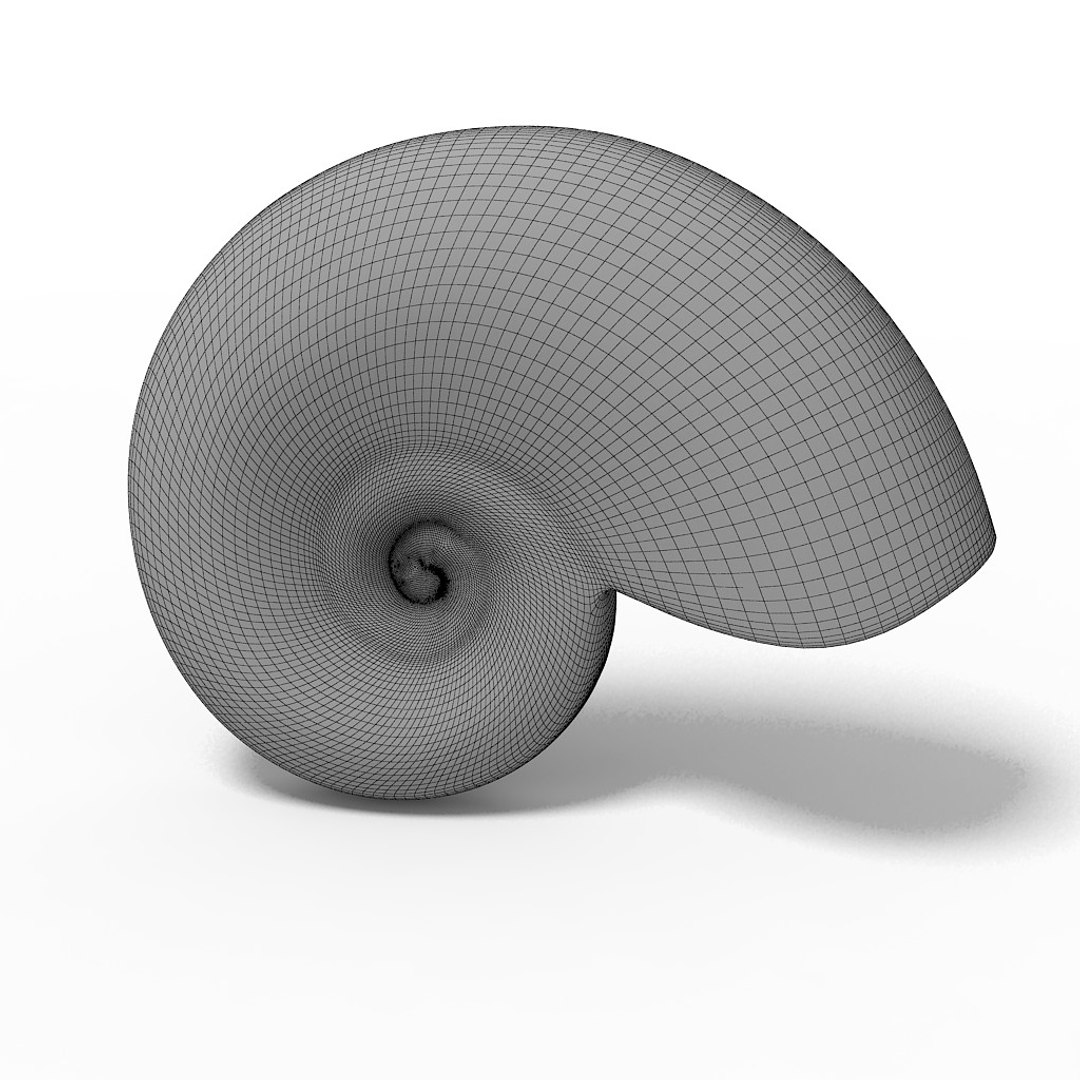 seashell nautilus sliced max https://p.turbosquid.com/ts-thumb/lI/Fc1bYQ/NDECTWra/110/jpg/1312987323/1920x1080/fit_q87/9ea417f6ef4361f1cdbb630b6ca174af11706ca4/110.jpg