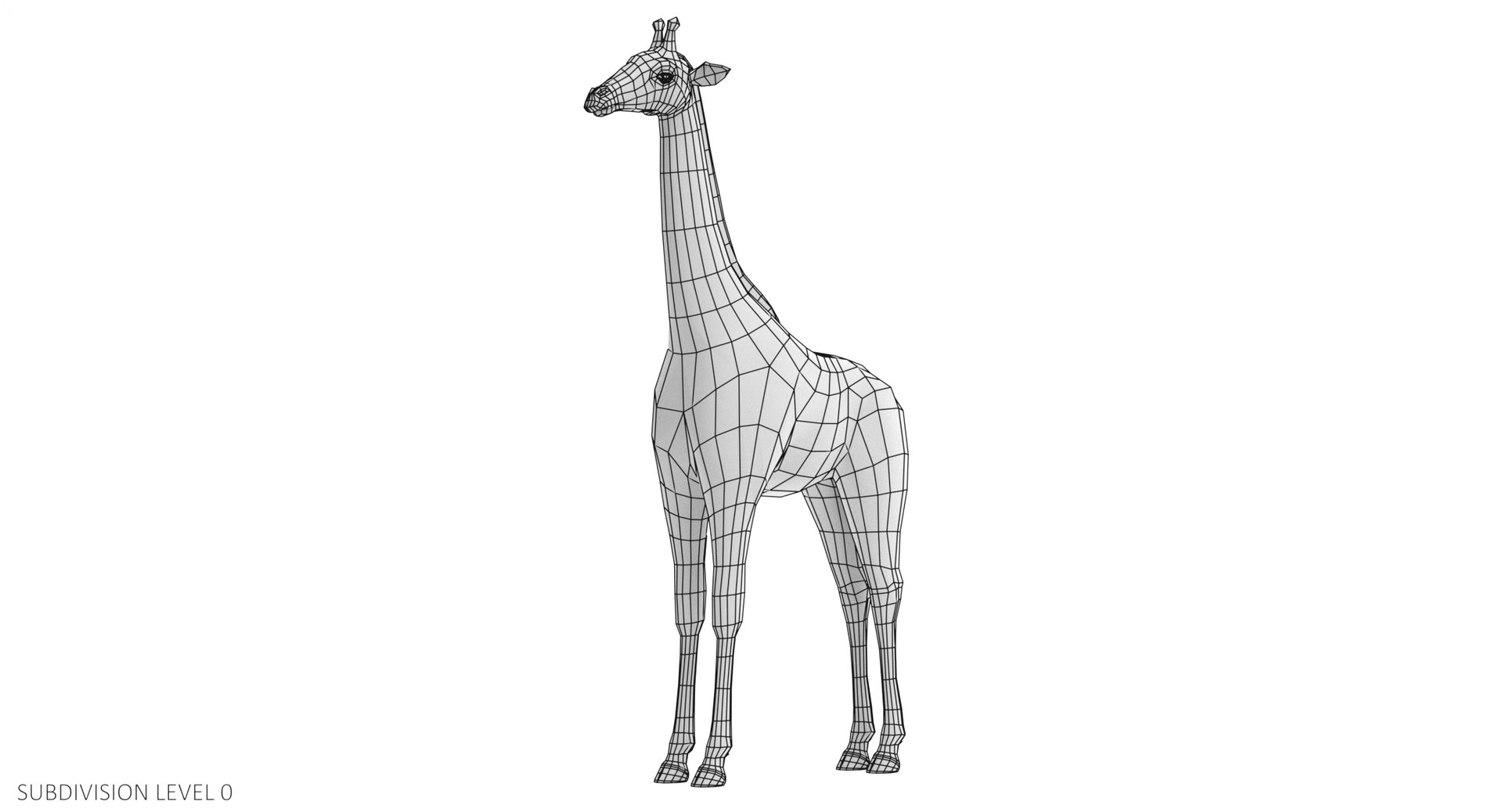 rothschild s giraffe 3D model https://p.turbosquid.com/ts-thumb/lI/LXZzFe/8EPLrwQu/giraffew2/png/1510052402/1920x1080/fit_q87/9d37b550dc94e48de5be2feee1183d76acaa8c3e/giraffew2.jpg