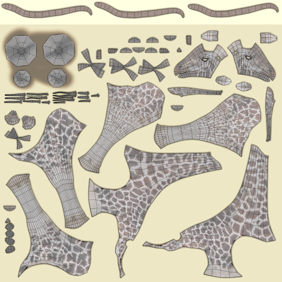 rothschild s giraffe 3D model https://p.turbosquid.com/ts-thumb/lI/LXZzFe/GpHbmYPh/giraffeuv/png/1510052402/1920x1080/fit_q87/87e8f4c55b5b7c4c39049dff43464a4db494d49f/giraffeuv.jpg