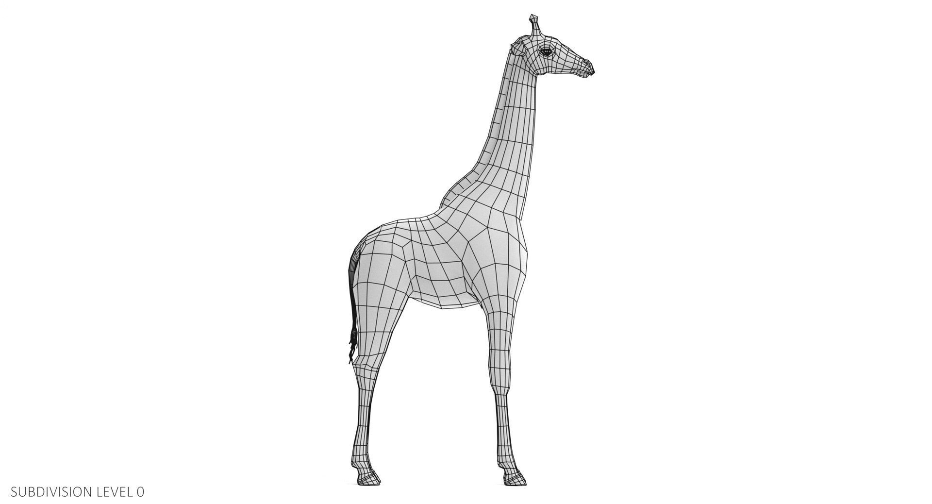 rothschild s giraffe 3D model https://p.turbosquid.com/ts-thumb/lI/LXZzFe/VcYlpUau/giraffew0/png/1510052402/1920x1080/fit_q87/8140114bef41ad1b88b86c6011e99f612eb99ee3/giraffew0.jpg