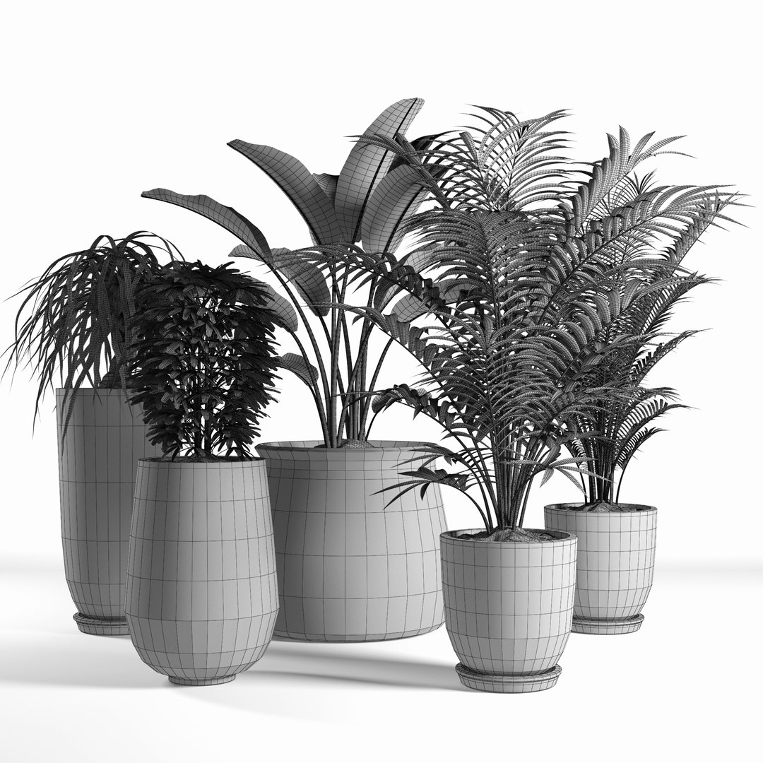 Plants set 04 3D model - TurboSquid 1255192