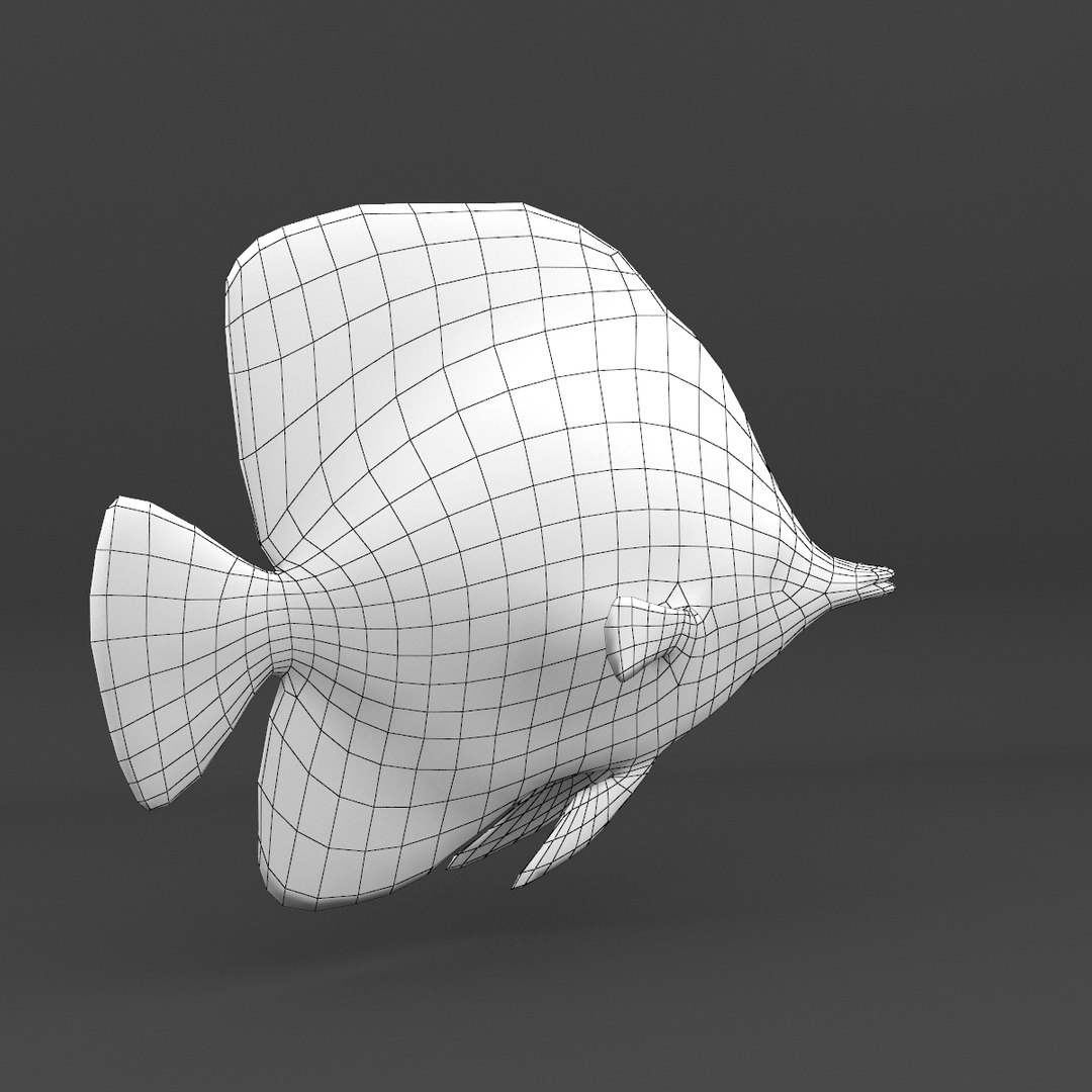 Fish Animation 3d Model