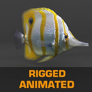 fish animation 3d model