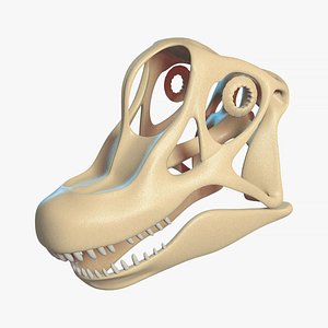 brachiosaurus skull model