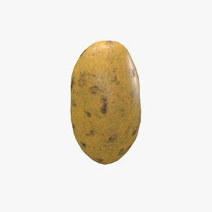 Medieval Potato 3D model