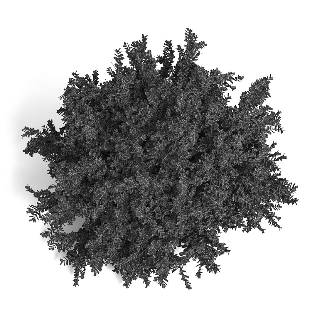 3D Common Box Shrub I - TurboSquid 1976660