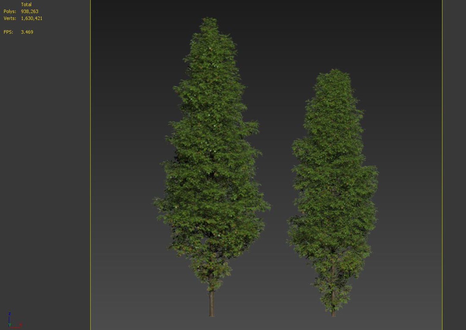Corylus Colurna 3D - TurboSquid 1941970