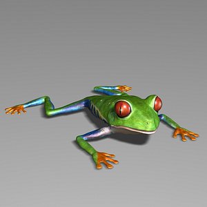 exotic tree frog model