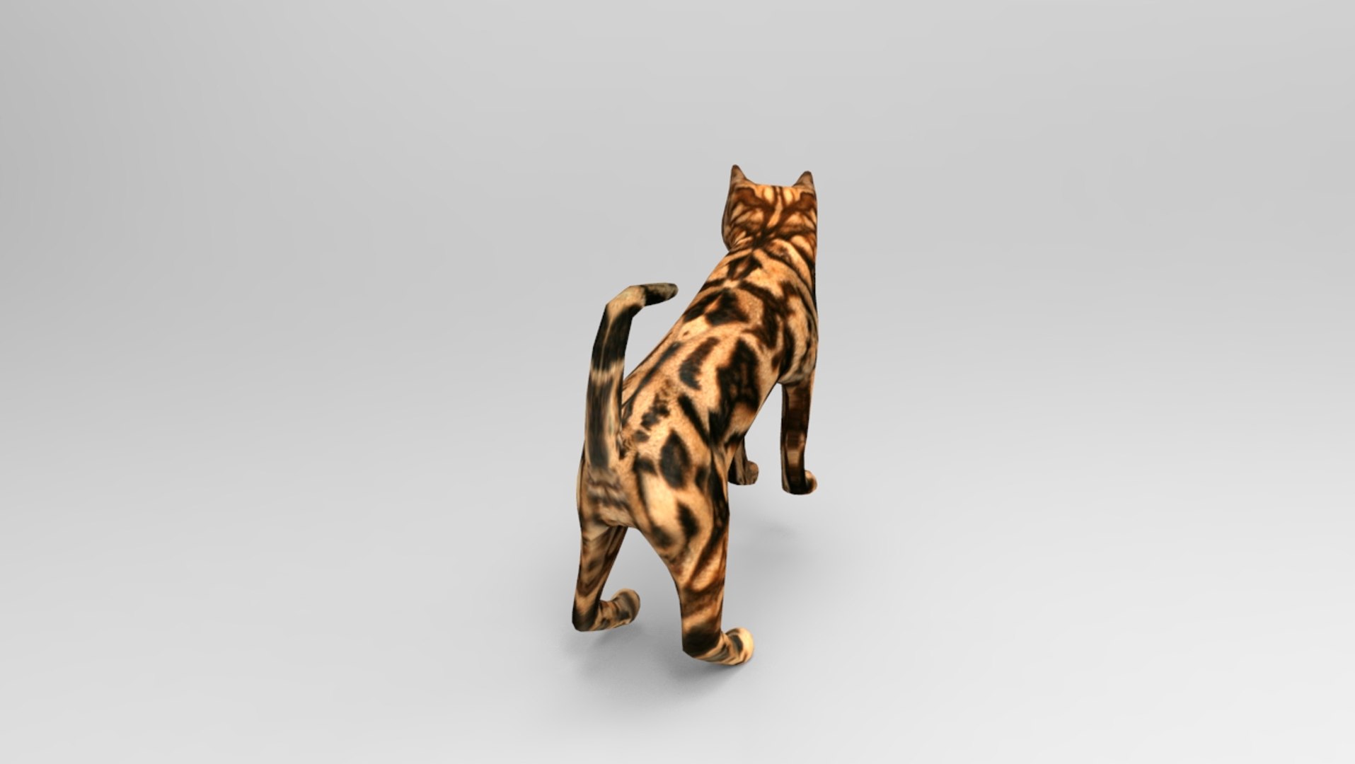 Cat rigged 3D | 1142672 | TurboSquid