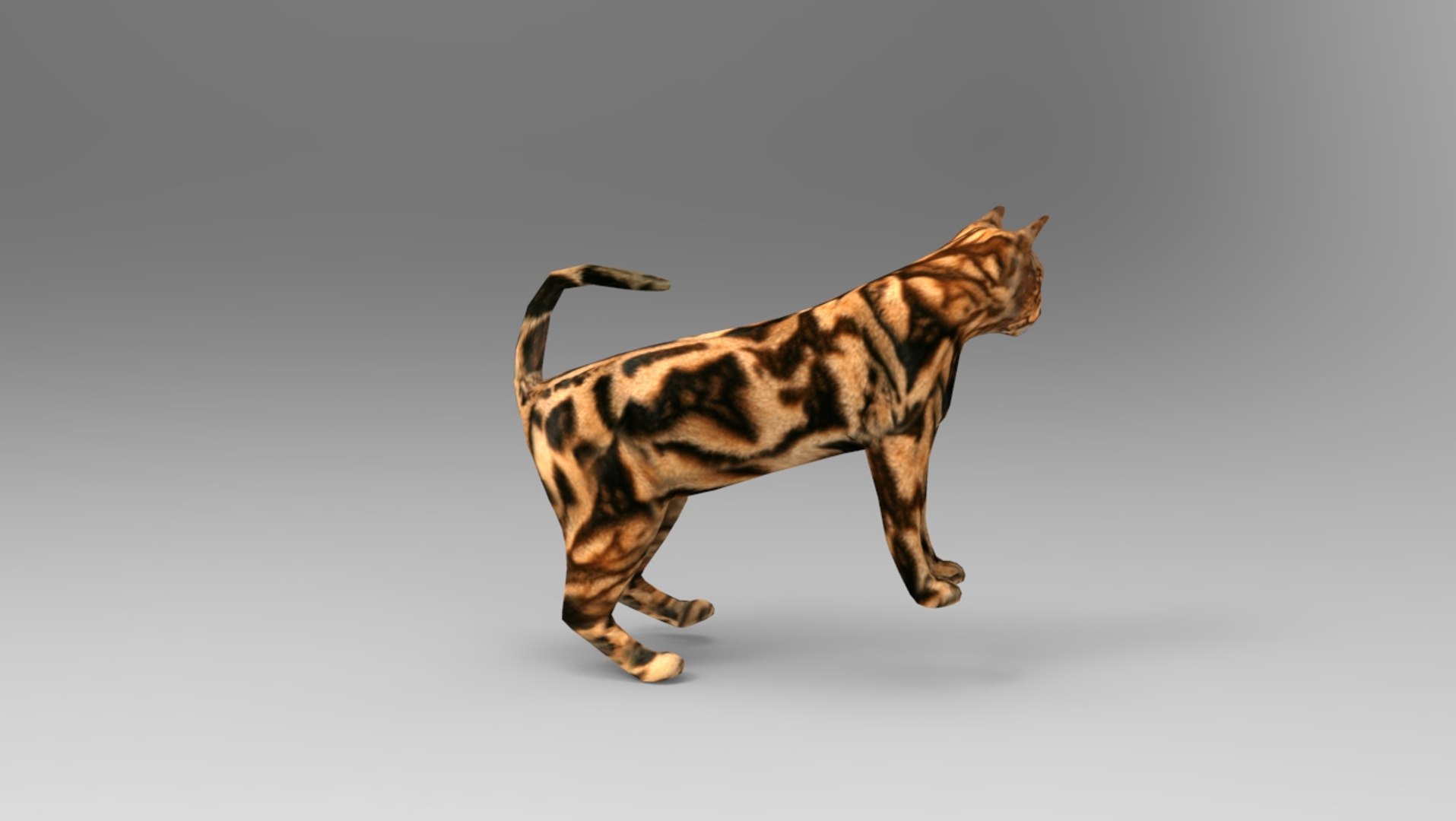 Cat rigged 3D | 1142672 | TurboSquid