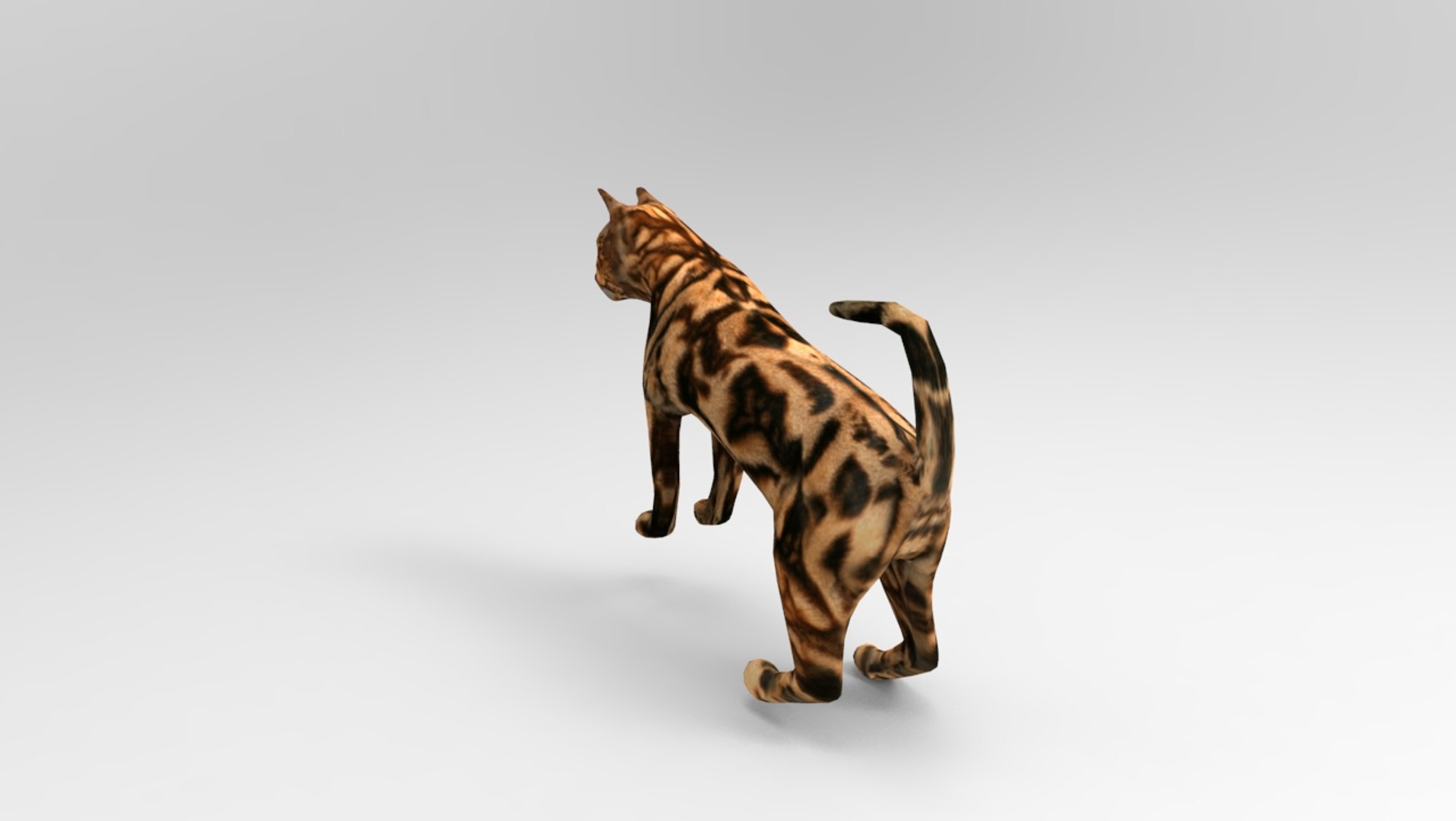 Cat rigged 3D | 1142672 | TurboSquid
