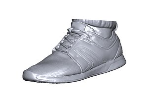 3D realistic shoe