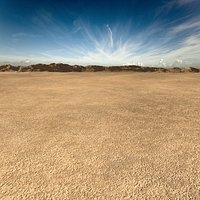 Desert Landscape