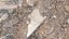 Construction soil heap and concrete rubble