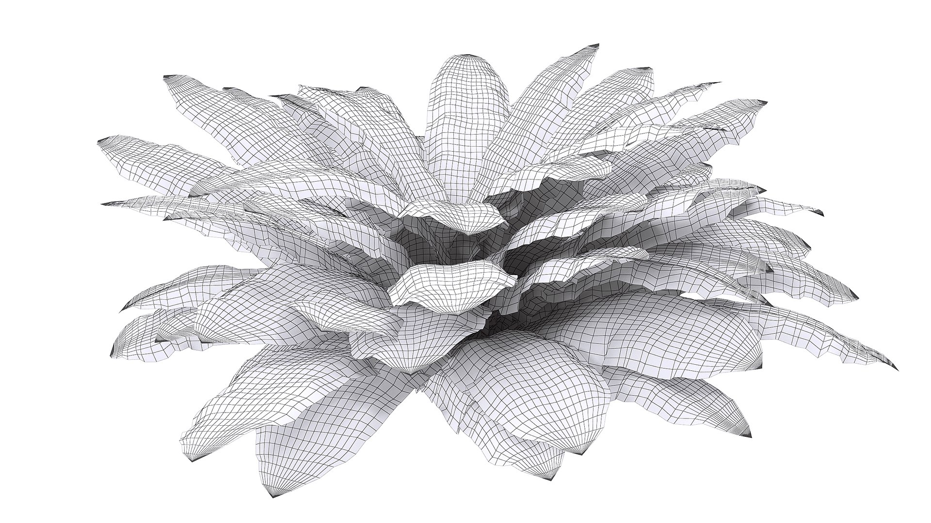 Sword Fern 02 3D model https://p.turbosquid.com/ts-thumb/lI/yo7nZY/6p/wire_/jpg/1748857807/1920x1080/fit_q87/8018e69de11e923c66c6b85f0034e4fbcad4f02a/wire_.jpg