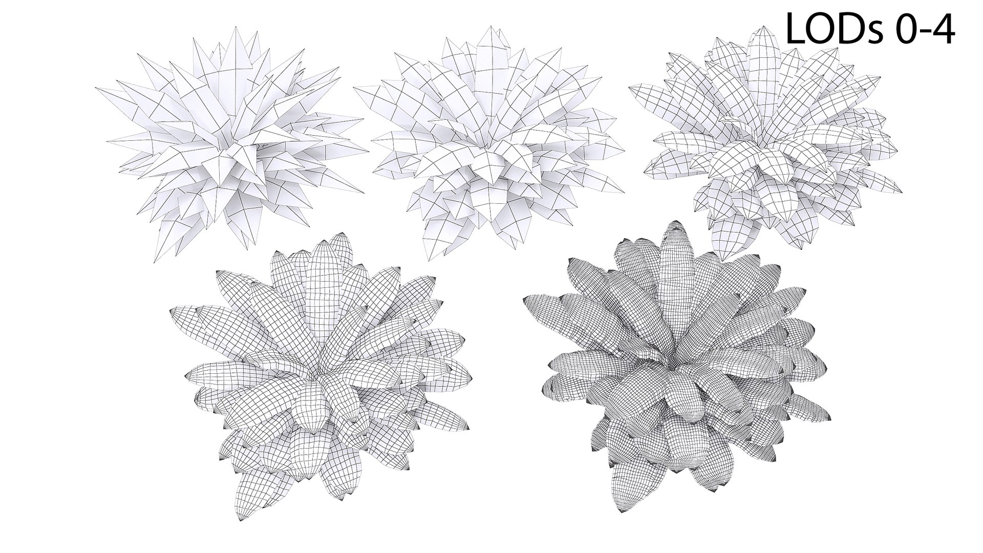Sword Fern 02 3D model https://p.turbosquid.com/ts-thumb/lI/yo7nZY/rY/wire2_/jpg/1748857807/1920x1080/fit_q87/483d07ba54d9c867b025ed543696550a0912e6dc/wire2_.jpg