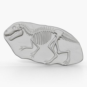 Dinosaur Fossil 007 3D model