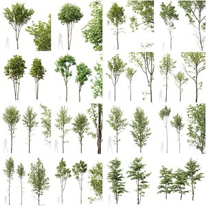 3D 16 Different SETS of Grass SET VOL13