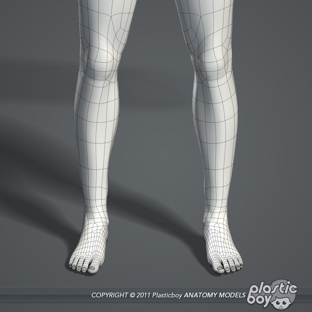 male female anatomy body 3d max https://p.turbosquid.com/ts-thumb/lJ/B94Vza/T5tM9EOX/female_anatomy_complete_wf_06/jpg/1304612028/1920x1080/fit_q87/20c0e0f947a71060768984f73e4572074a8a9246/female_anatomy_complete_wf_06.jpg