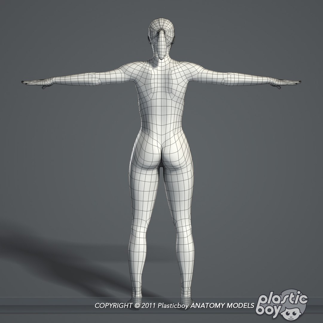 male female anatomy body 3d max https://p.turbosquid.com/ts-thumb/lJ/B94Vza/dno2chsK/female_body_03_wf/jpg/1304612028/1920x1080/fit_q87/1bfe46608c779a4daf94b503d684a6bf0e5de495/female_body_03_wf.jpg