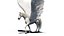 3D Pegasus animated