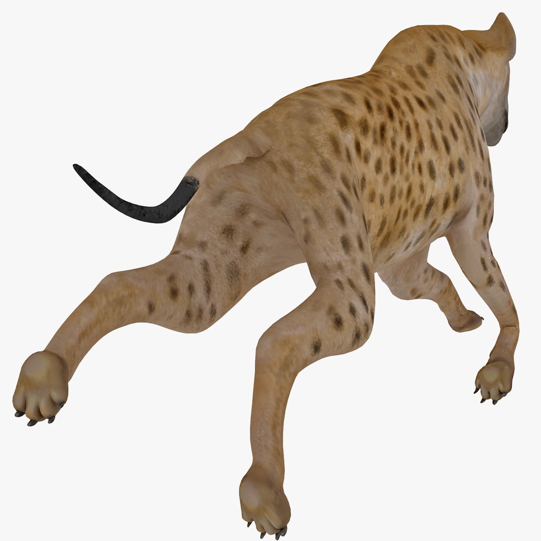 s hyena rigged animal https://p.turbosquid.com/ts-thumb/lJ/Xs835m/3dgKuCcU/hyenarigged_9/jpg/1411138646/1920x1080/fit_q87/a80b6b444120aca985f442a40528458f617c5220/hyenarigged_9.jpg