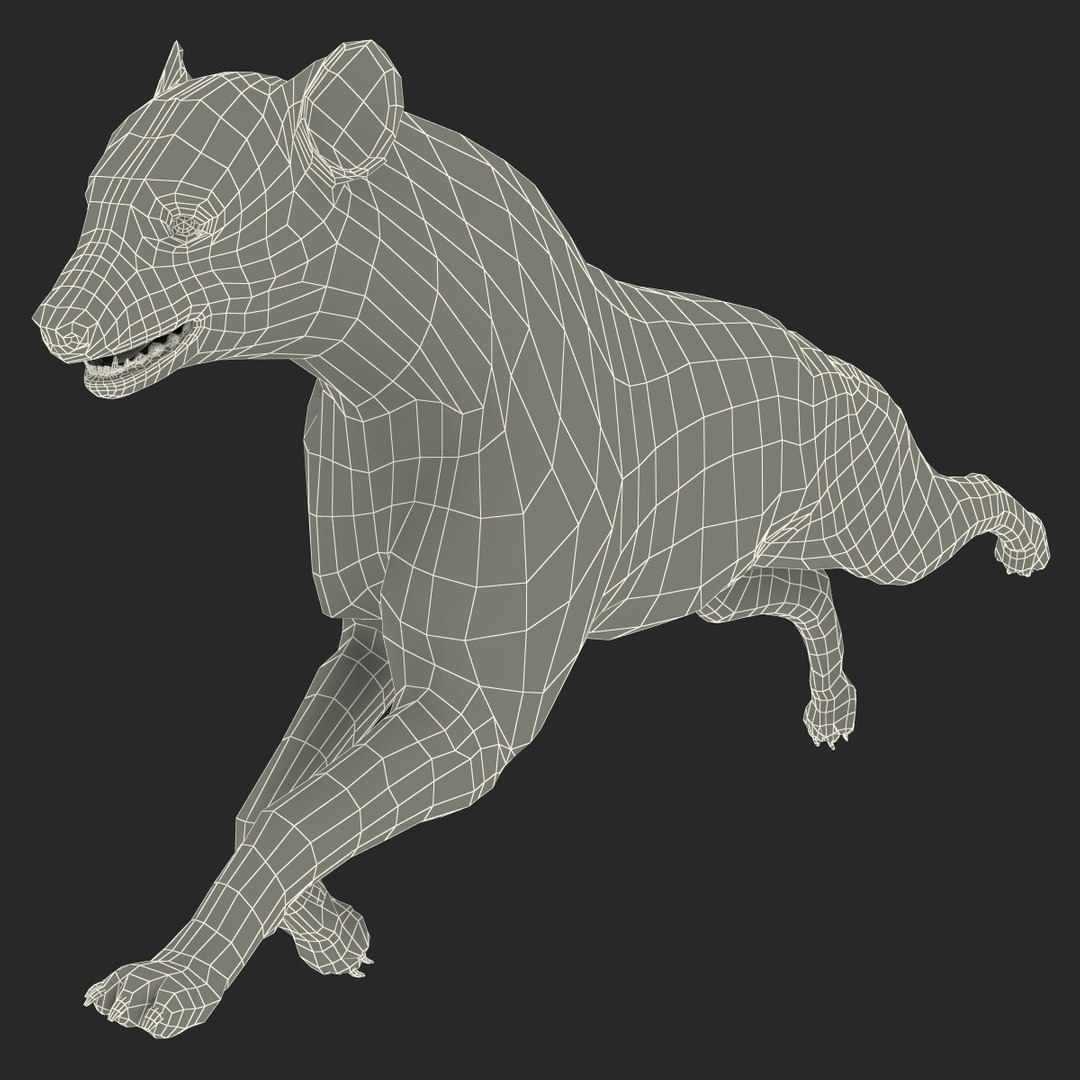 s hyena rigged animal https://p.turbosquid.com/ts-thumb/lJ/Xs835m/M67Y5UAg/hyenarigged_167/jpg/1411139090/1920x1080/fit_q87/a7820741580322b7e9456172b971ef973211aa2f/hyenarigged_167.jpg