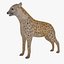 Hyena Rigged