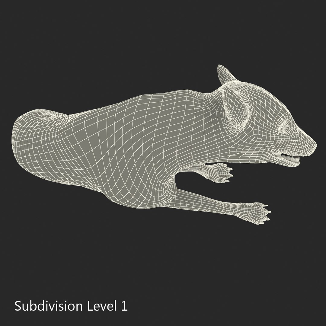 s hyena rigged animal https://p.turbosquid.com/ts-thumb/lJ/Xs835m/Vtmc3tiY/hyenarigged_179/jpg/1411139075/1920x1080/fit_q87/804aa28c496666a346ab301569fffcae71cec03b/hyenarigged_179.jpg
