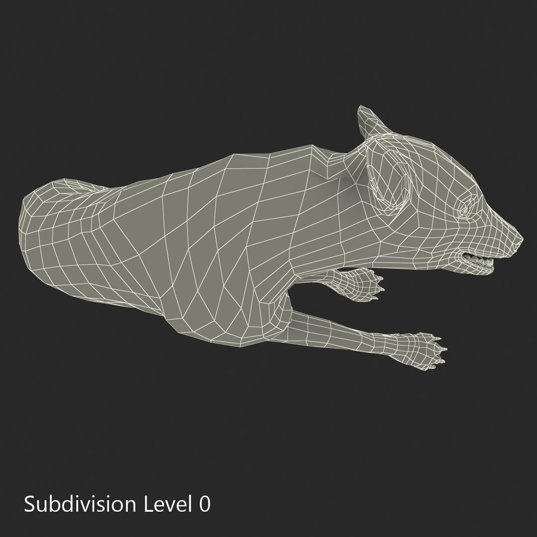 s hyena rigged animal https://p.turbosquid.com/ts-thumb/lJ/Xs835m/aWtOhENT/hyenarigged_178/jpg/1411139122/1920x1080/fit_q87/bb6681d4b1ca5e2c17bcdd033673d78aae0a879c/hyenarigged_178.jpg